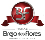 Haras Brejo das Flores