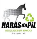 Haras da Pil