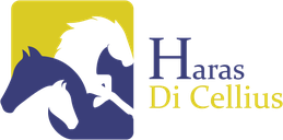 Haras Di Cellius