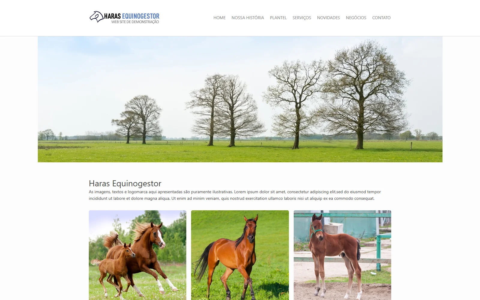 Página inicial do site de demonstração Haras EquinoGestor, com menu, banner e animais do plantel, gerenciado pelo EquinoGestor