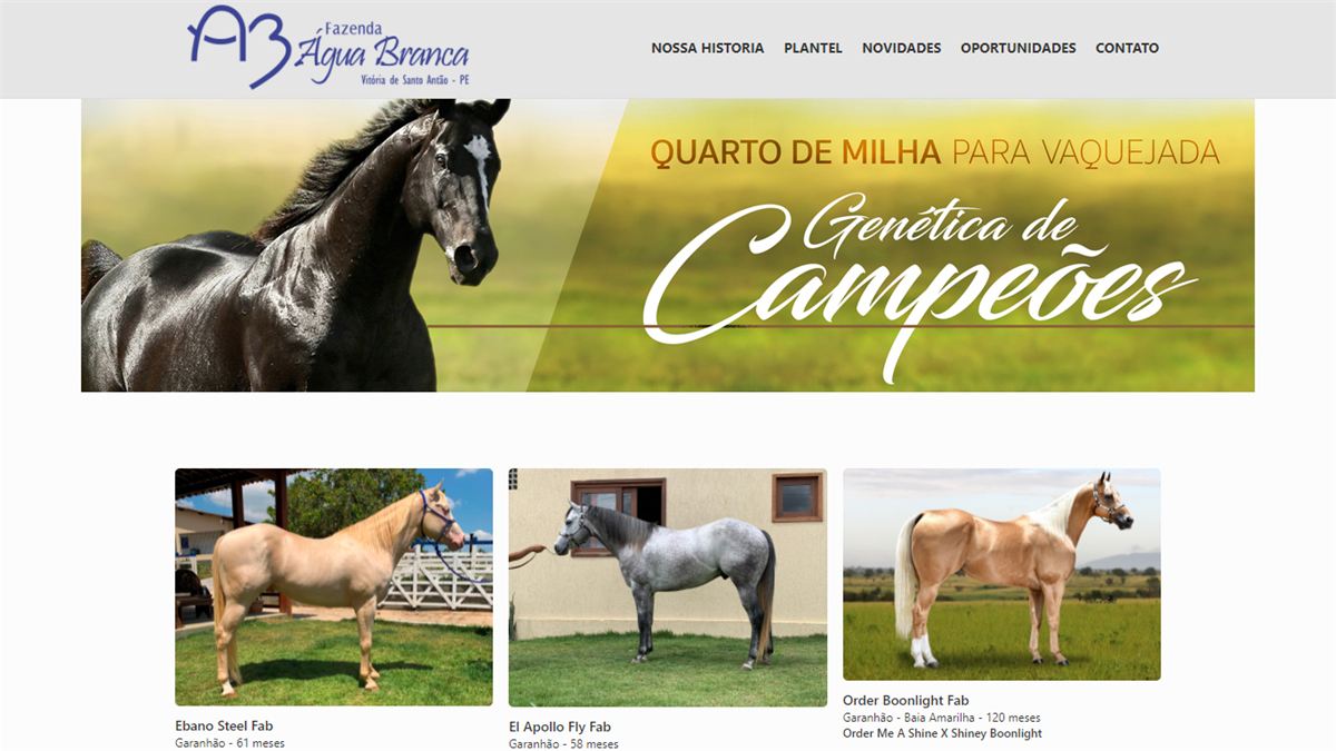 Site da Fazenda Água Branca feito com o EquinoGestor