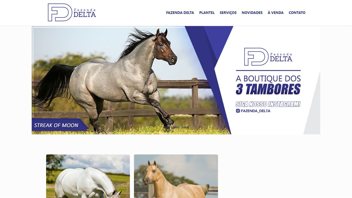 Site da Fazenda Delta feito com o EquinoGestor