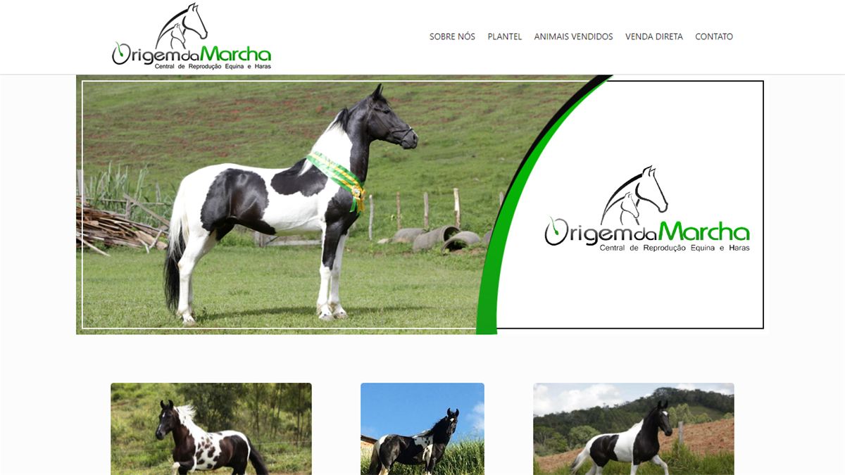 Site da Origem da Marcha, central de reprodução equina, feito com o EquinoGestor