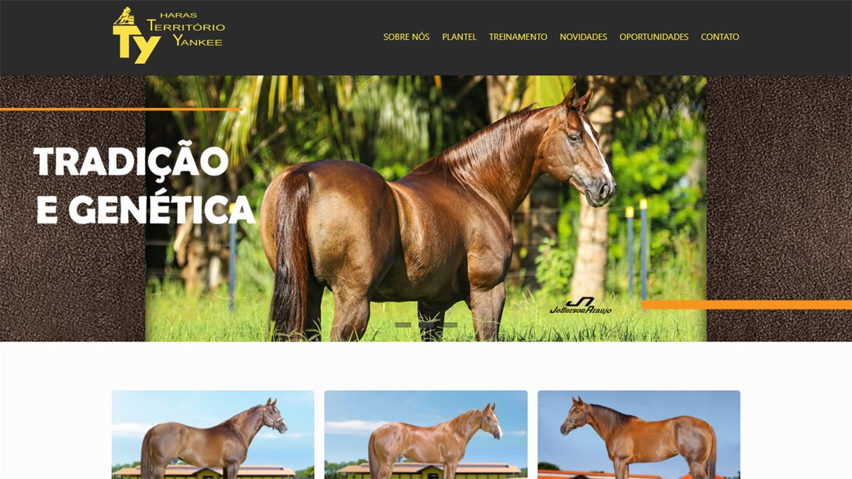 Site do Haras Território Yankee feito com o EquinoGestor
